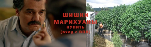 гашик Пересвет